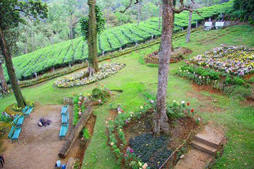 Oak Field Resort 蒙纳 外观 照片